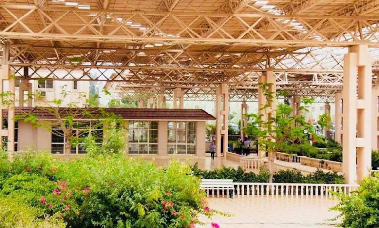 httpslh5.googleusercontent.compAF1QipObf7M 0ZElWdXf1Gq4vfG tQdWFvr0fqreFwSqw800 h600 k no